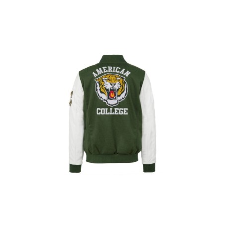 Teddy Varsity Green Tiger | American College USA