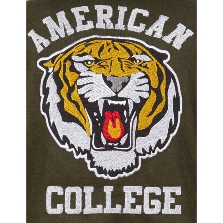 Teddy Varsity Green Tiger | American College USA