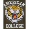 Teddy Varsity Green Tiger | American College USA