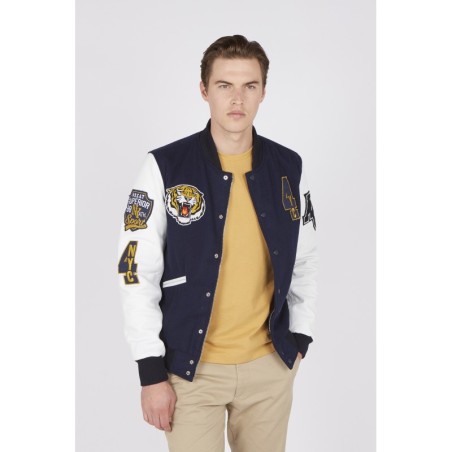 Teddy Varsity Marine Tiger | American College USA