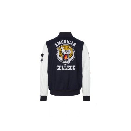 Teddy Varsity Marine Tiger | American College USA