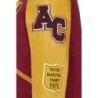 Teddy Varsity Burgundy/Gold | American College USA