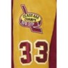 Teddy Varsity Burgundy/Gold | American College USA