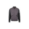 Teddy Varsity Grey-Black Homme | American College USA