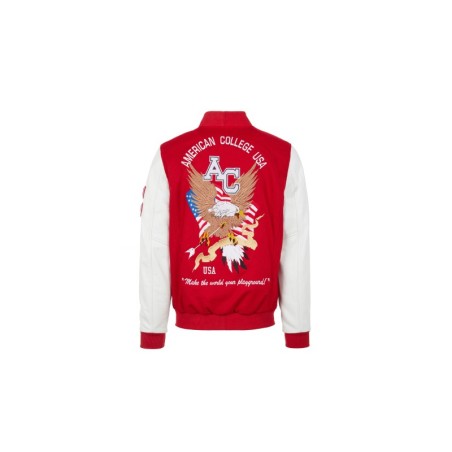 Teddy Varsity Red Eagle USA | American College USA