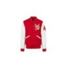 Teddy Varsity Red Eagle USA | American College USA
