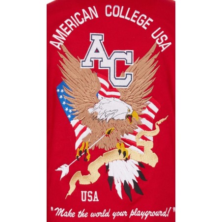 Teddy Varsity Red Eagle USA | American College USA