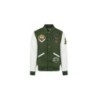Teddy Varsity Green Tiger | American College USA